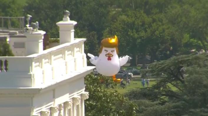 Massive Inflatable Trump Like Chicken Spotted Outside Of The White House